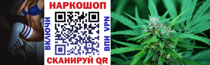 Где купить наркотики Щёлкино Каннабис  Псилоцибиновые грибы  A PVP  Меф мяу мяу  Гашиш  Кокаин  Амфетамин 