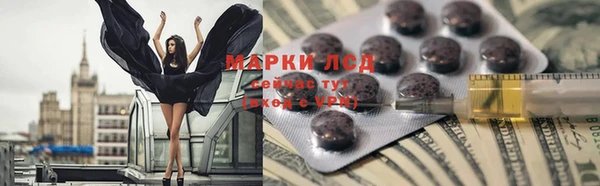 СК Алексин