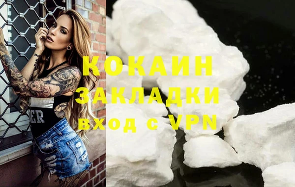 СК Алексин