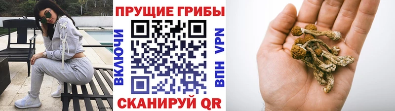 Псилоцибиновые грибы GOLDEN TEACHER  Щёлкино 